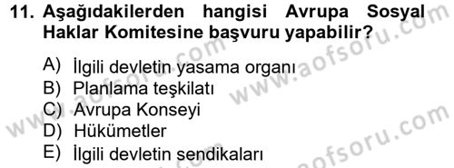 İnsan Hakları Ve Kamu Özgürlükleri Dersi 2012 - 2013 Yılı (Final) Dönem Sonu Sınav Soruları 11. Soru