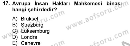 İnsan Hakları Ve Kamu Özgürlükleri Dersi 2012 - 2013 Yılı (Final) Dönem Sonu Sınav Soruları 17. Soru