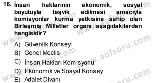 İnsan Hakları Ve Kamu Özgürlükleri Dersi 2013 - 2014 Yılı (Vize) Ara Sınav Soruları 16. Soru