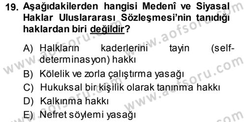 İnsan Hakları Ve Kamu Özgürlükleri Dersi 2013 - 2014 Yılı (Vize) Ara Sınav Soruları 19. Soru