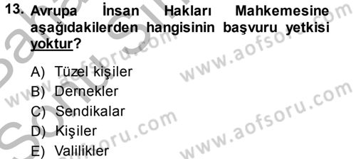 İnsan Hakları Ve Kamu Özgürlükleri Dersi 2013 - 2014 Yılı (Final) Dönem Sonu Sınav Soruları 13. Soru