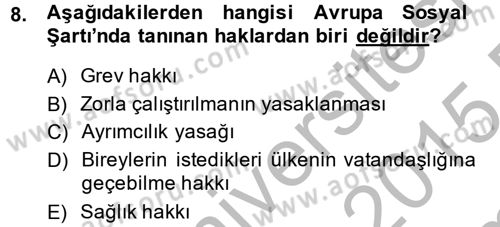 İnsan Hakları Ve Kamu Özgürlükleri Dersi 2014 - 2015 Yılı (Final) Dönem Sonu Sınav Soruları 8. Soru