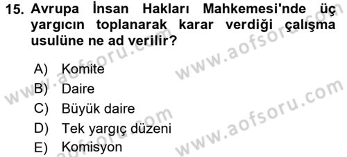 İnsan Hakları Ve Kamu Özgürlükleri Dersi 2015 - 2016 Yılı (Final) Dönem Sonu Sınav Soruları 15. Soru