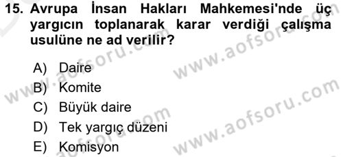 İnsan Hakları Ve Kamu Özgürlükleri Dersi 2015 - 2016 Yılı Tek Ders Sınavı 15. Soru