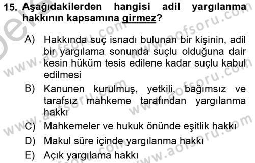 İnsan Hakları Ve Kamu Özgürlükleri Dersi 2016 - 2017 Yılı 3 Ders Sınavı 15. Soru