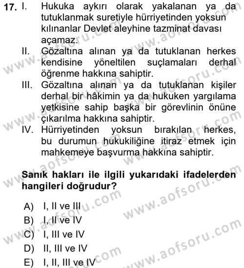 İnsan Hakları Ve Kamu Özgürlükleri Dersi 2016 - 2017 Yılı 3 Ders Sınav Soruları 17. Soru