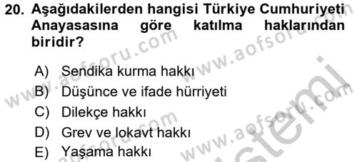 İnsan Hakları Ve Kamu Özgürlükleri Dersi 2016 - 2017 Yılı 3 Ders Sınav Soruları 20. Soru