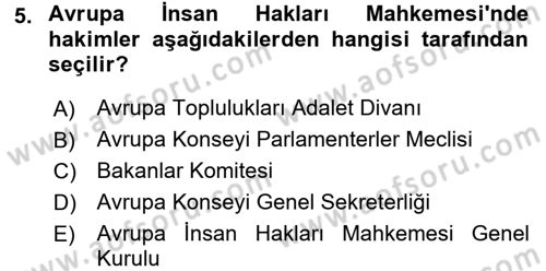 İnsan Hakları Ve Kamu Özgürlükleri Dersi 2016 - 2017 Yılı 3 Ders Sınav Soruları 5. Soru