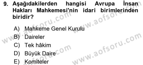 İnsan Hakları Ve Kamu Özgürlükleri Dersi 2016 - 2017 Yılı 3 Ders Sınav Soruları 9. Soru