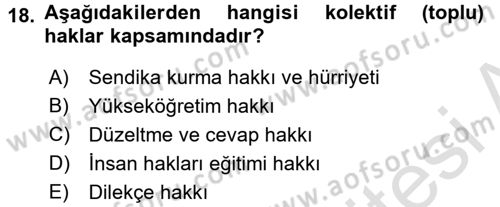 İnsan Hakları Ve Kamu Özgürlükleri Dersi 2016 - 2017 Yılı (Final) Dönem Sonu Sınav Soruları 18. Soru