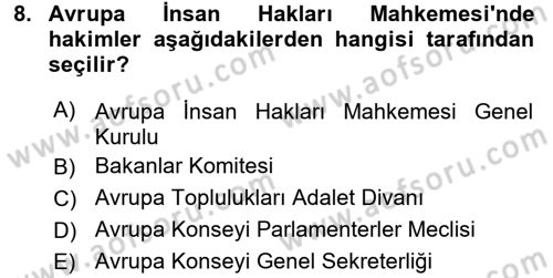 İnsan Hakları Ve Kamu Özgürlükleri Dersi 2016 - 2017 Yılı (Final) Dönem Sonu Sınav Soruları 8. Soru