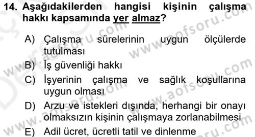 İnsan Hakları Ve Kamu Özgürlükleri Dersi 2017 - 2018 Yılı 3 Ders Sınav Soruları 14. Soru