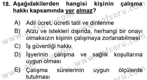 İnsan Hakları Ve Kamu Özgürlükleri Dersi 2017 - 2018 Yılı (Final) Dönem Sonu Sınav Soruları 18. Soru