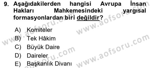 İnsan Hakları Ve Kamu Özgürlükleri Dersi 2017 - 2018 Yılı (Final) Dönem Sonu Sınav Soruları 9. Soru