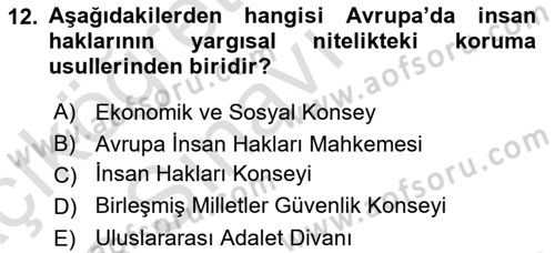 İnsan Hakları Ve Kamu Özgürlükleri Dersi 2018 - 2019 Yılı 3 Ders Sınav Soruları 12. Soru