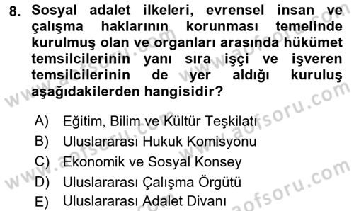 İnsan Hakları Ve Kamu Özgürlükleri Dersi 2018 - 2019 Yılı 3 Ders Sınav Soruları 8. Soru