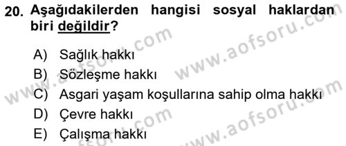 İnsan Hakları Ve Kamu Özgürlükleri Dersi 2018 - 2019 Yılı (Final) Dönem Sonu Sınav Soruları 20. Soru