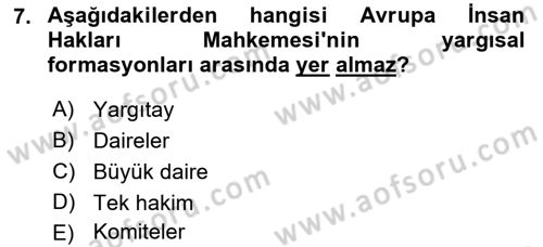 İnsan Hakları Ve Kamu Özgürlükleri Dersi 2018 - 2019 Yılı (Final) Dönem Sonu Sınav Soruları 7. Soru