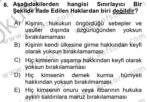 İnsan Hakları Ve Kamu Özgürlükleri Dersi 2018 - 2019 Yılı Yaz Okulu Sınavı 6. Soru