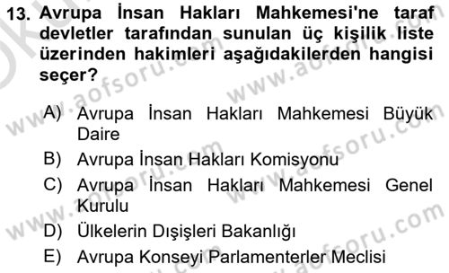 İnsan Hakları Ve Kamu Özgürlükleri Dersi 2020 - 2021 Yılı Yaz Okulu Sınav Soruları 13. Soru