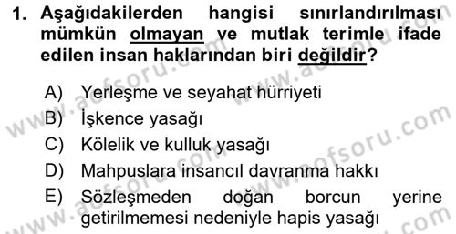 İnsan Hakları Ve Kamu Özgürlükleri Dersi 2021 - 2022 Yılı (Vize) Ara Sınavı 1. Soru