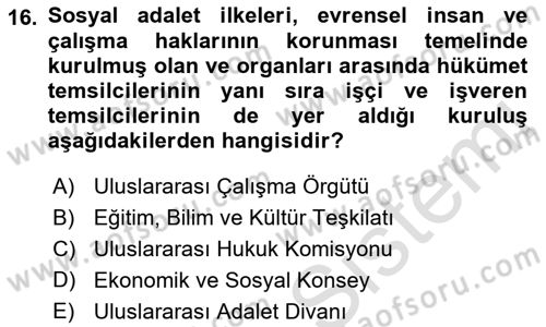 İnsan Hakları Ve Kamu Özgürlükleri Dersi 2021 - 2022 Yılı (Vize) Ara Sınavı 16. Soru