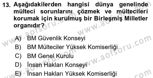 İnsan Hakları Ve Kamu Özgürlükleri Dersi 2023 - 2024 Yılı (Vize) Ara Sınav Soruları 13. Soru