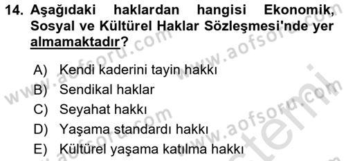 İnsan Hakları Ve Kamu Özgürlükleri Dersi 2023 - 2024 Yılı (Vize) Ara Sınav Soruları 14. Soru