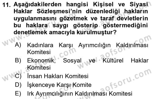 İnsan Hakları Ve Kamu Özgürlükleri Dersi 2023 - 2024 Yılı Yaz Okulu Sınav Soruları 11. Soru