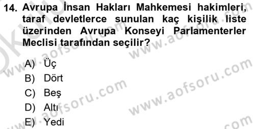 İnsan Hakları Ve Kamu Özgürlükleri Dersi 2023 - 2024 Yılı Yaz Okulu Sınav Soruları 14. Soru
