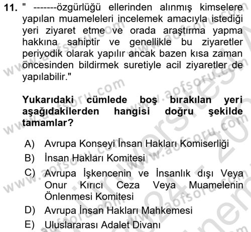 İnsan Hakları Ve Kamu Özgürlükleri Dersi 2024 - 2025 Yılı (Final) Dönem Sonu Sınav Soruları 11. Soru