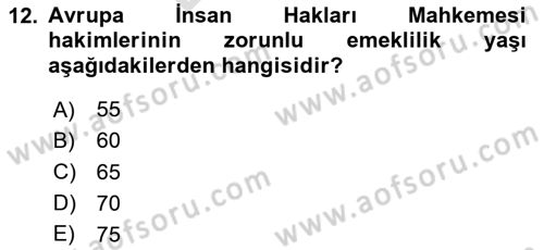 İnsan Hakları Ve Kamu Özgürlükleri Dersi 2024 - 2025 Yılı (Final) Dönem Sonu Sınav Soruları 12. Soru