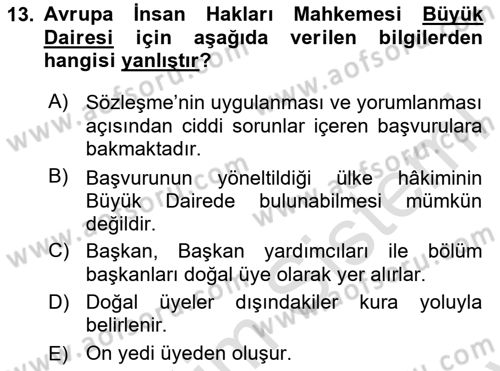 İnsan Hakları Ve Kamu Özgürlükleri Dersi 2024 - 2025 Yılı (Final) Dönem Sonu Sınav Soruları 13. Soru