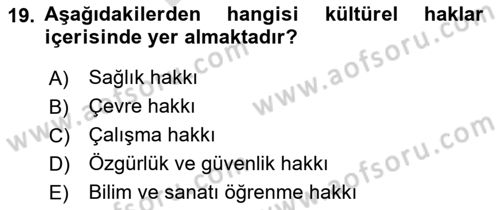 İnsan Hakları Ve Kamu Özgürlükleri Dersi 2024 - 2025 Yılı (Final) Dönem Sonu Sınav Soruları 19. Soru