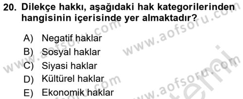 İnsan Hakları Ve Kamu Özgürlükleri Dersi 2024 - 2025 Yılı (Final) Dönem Sonu Sınav Soruları 20. Soru
