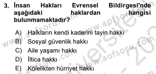 İnsan Hakları Ve Kamu Özgürlükleri Dersi 2024 - 2025 Yılı (Final) Dönem Sonu Sınav Soruları 3. Soru