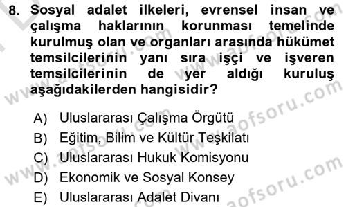 İnsan Hakları Ve Kamu Özgürlükleri Dersi 2024 - 2025 Yılı (Final) Dönem Sonu Sınav Soruları 8. Soru