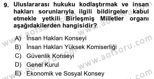 İnsan Hakları Ve Kamu Özgürlükleri Dersi 2024 - 2025 Yılı (Final) Dönem Sonu Sınav Soruları 9. Soru