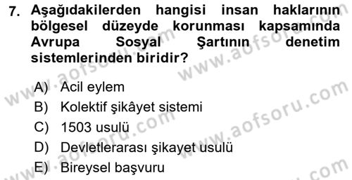 İnsan Hakları Ve Kamu Özgürlükleri Dersi 2025 - 2026 Yılı (Final) Dönem Sonu Sınav Soruları 7. Soru