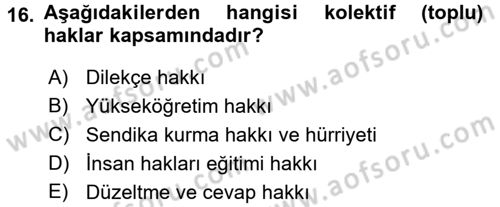 İnsan Hakları Ve Kamu Özgürlükleri -x Dersi 2016 - 2017 Yılı 3 Ders Sınav Soruları 16. Soru
