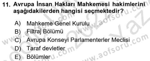 İnsan Hakları Ve Kamu Özgürlükleri -x Dersi 2022 - 2023 Yılı Yaz Okulu Sınav Soruları 11. Soru