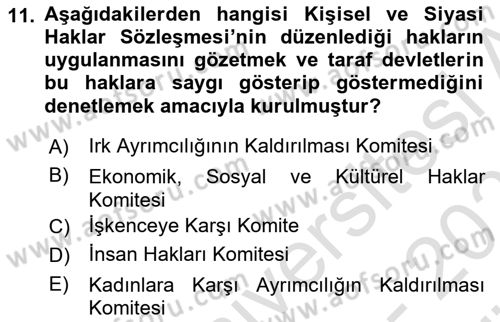 İnsan Hakları Ve Kamu Özgürlükleri -x Dersi 2023 - 2024 Yılı (Vize) Ara Sınav Soruları 11. Soru