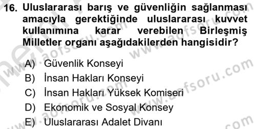 İnsan Hakları Ve Kamu Özgürlükleri -x Dersi 2023 - 2024 Yılı (Vize) Ara Sınav Soruları 16. Soru