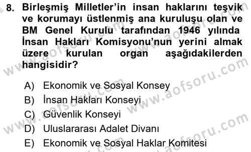 İnsan Hakları Ve Kamu Özgürlükleri -x Dersi 2023 - 2024 Yılı (Final) Dönem Sonu Sınav Soruları 8. Soru