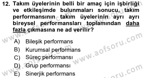 Afet Sosyolojisi Dersi 2017 - 2018 Yılı (Vize) Ara Sınav Soruları 12. Soru