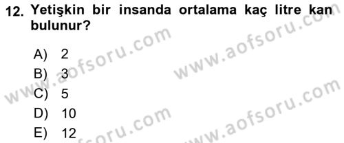 Afet Tıbbı ve Yönetim İlkeleri Dersi 2020 - 2021 Yılı Yaz Okulu Sınav Soruları 12. Soru