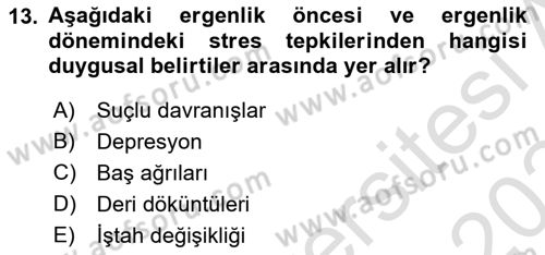 Afet Tıbbı ve Yönetim İlkeleri Dersi 2023 - 2024 Yılı Yaz Okulu Sınav Soruları 13. Soru