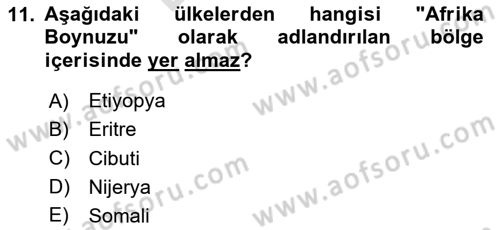 Afet Yönetimi 2 Dersi 2024 - 2025 Yılı (Final) Dönem Sonu Sınav Soruları 11. Soru