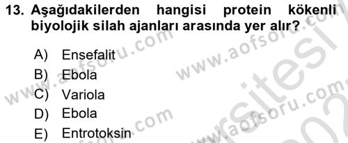 Arama Kurtarma Bilgisi ve Etik Değerler Dersi 2024 - 2025 Yılı (Final) Dönem Sonu Sınav Soruları 13. Soru