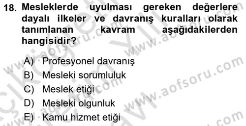 Arama Kurtarma Bilgisi ve Etik Değerler Dersi 2024 - 2025 Yılı Yaz Okulu Sınav Soruları 18. Soru